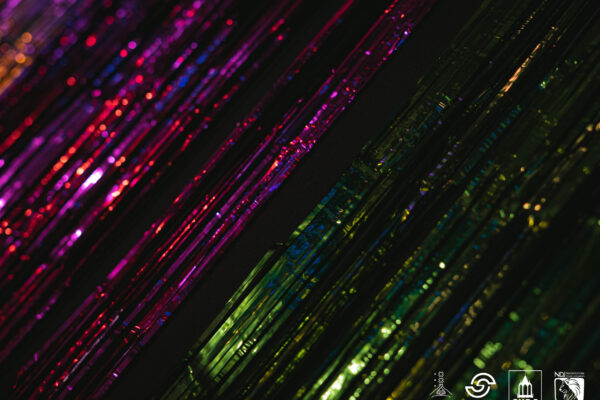 260228 - FOUTE PARTY LOGO-113